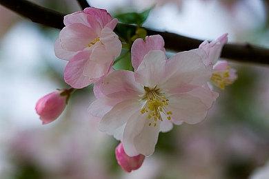 《吸血鬼：避世血族2》定价引批评 官方开始退款